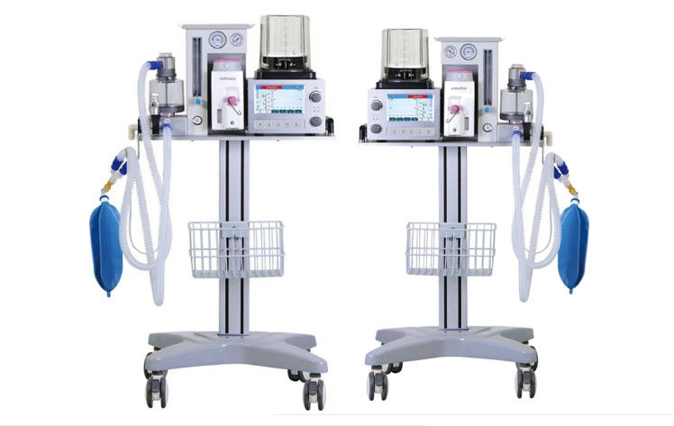 DM6B het veterinaire Systeem AC 100-240V van Anesthesieventilator LCD van de 7 Duimkleur Vertoning